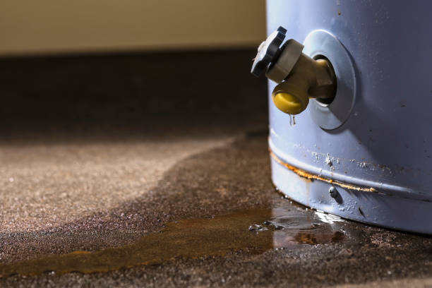 Best Ceiling water damage repair  in Fairview Park, OH