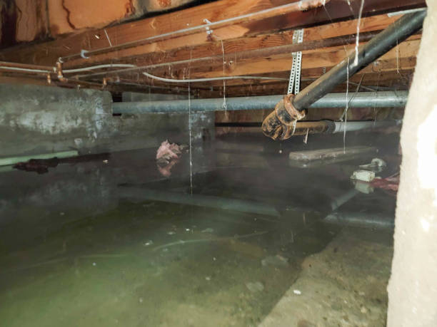 Fire Damage Restoration in Fairview Park, OH