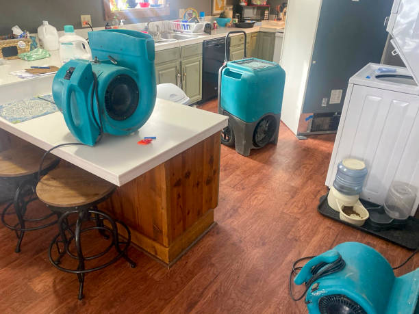 Best Water damage restoration process  in Fairview Park, OH
