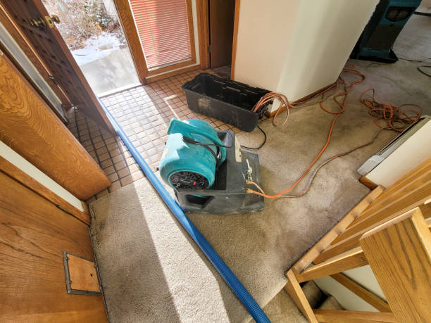  Fairview Park, OH Water damage restoration Pros