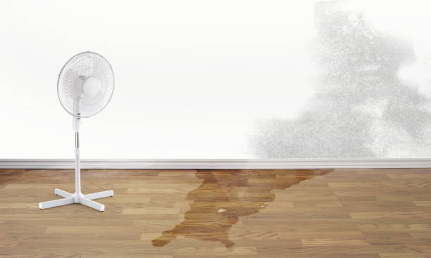 Best Water damage restoration specialists  in Fairview Park, OH