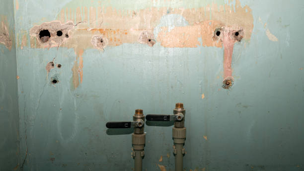 Best Fire Damage Restoration  in Fairview Park, OH