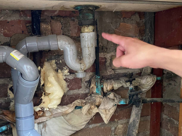 Best Flood damage cleanup  in Fairview Park, OH