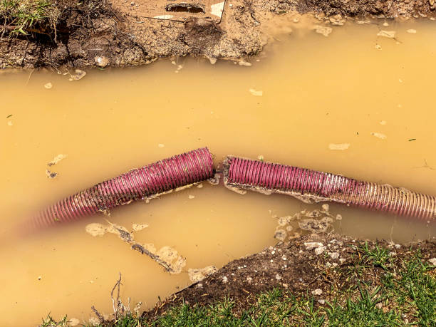 Best Professional water damage repair  in Fairview Park, OH