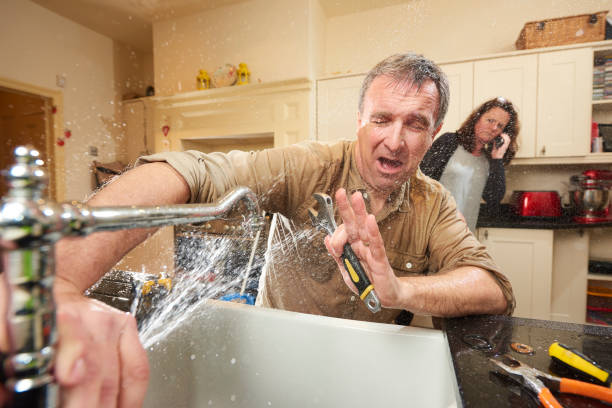 Best Local water damage restoration  in Fairview Park, OH